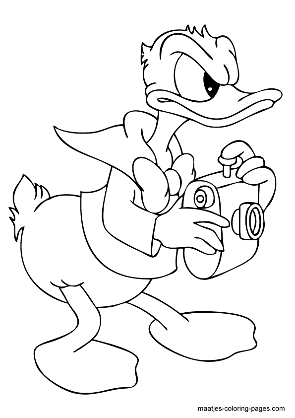 Donald Duck