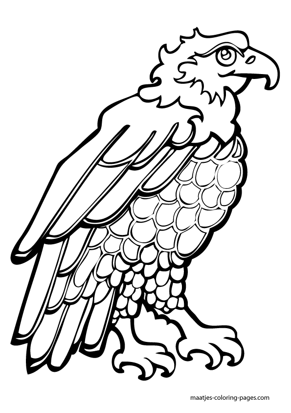 independence_day Coloring Pages