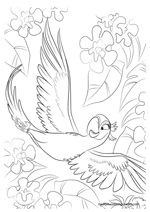 Rio coloring page