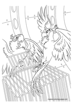 Rio coloring page