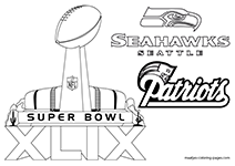 Super Bowl XLIX